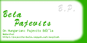 bela pajevits business card